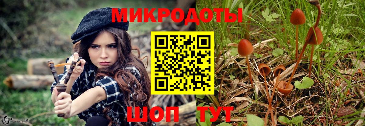 Новоалтайск  Галлюциногенные грибы прущие грибы  Вход с VPN  Галлюциногенные грибы Psilocybine cubensis 
